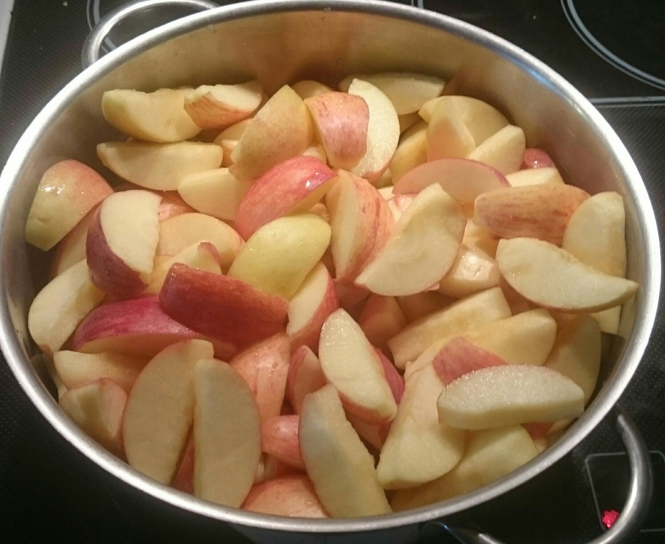 Selbst gemachtes Apfelmus einkochen - Bluis Kochwelt
